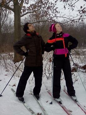 two people cross-country skiing